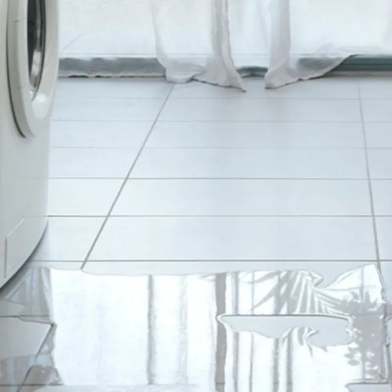 Appliance Leak Cleanup in Wasatch County, UT
